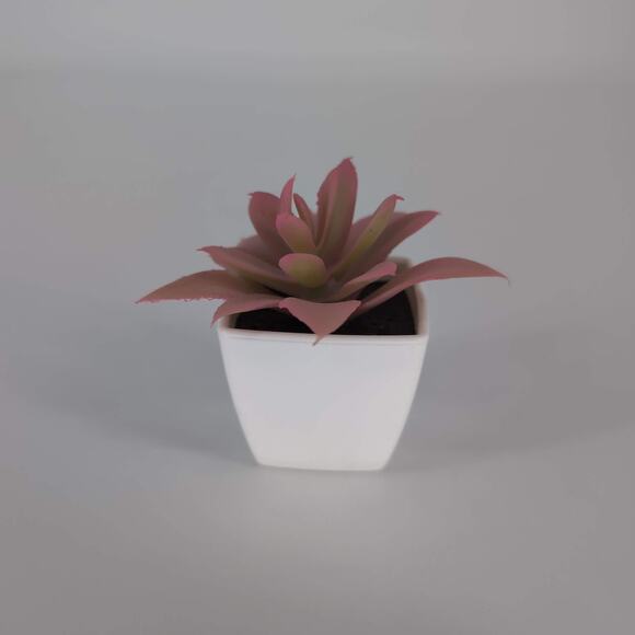 Mini Fake Faux Artificial Pink Succulent Potted Plant in Plastic White Pot - GUC - Picture 3 of 10